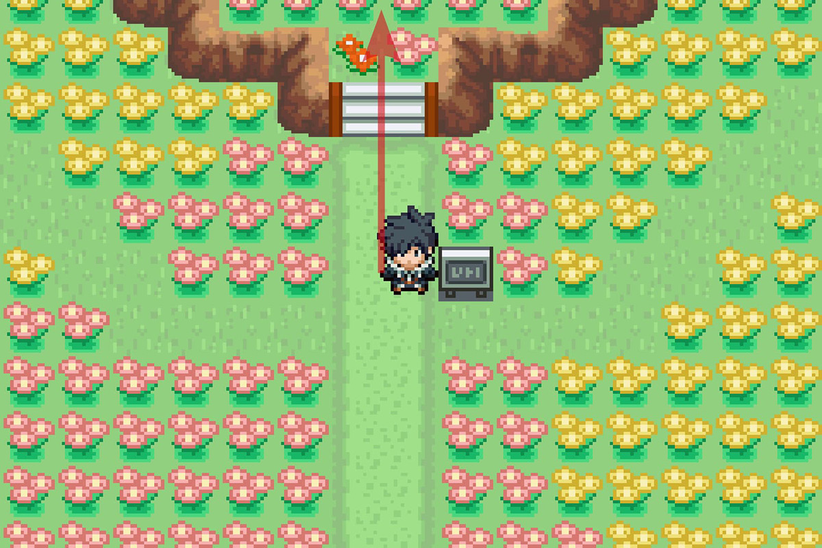 Going north from the Flower Paradise Fly spot. / Pokémon Unbound