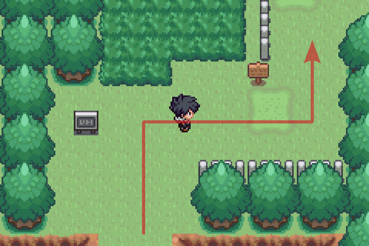 Continuing north on Route 5. / Pokémon Unbound