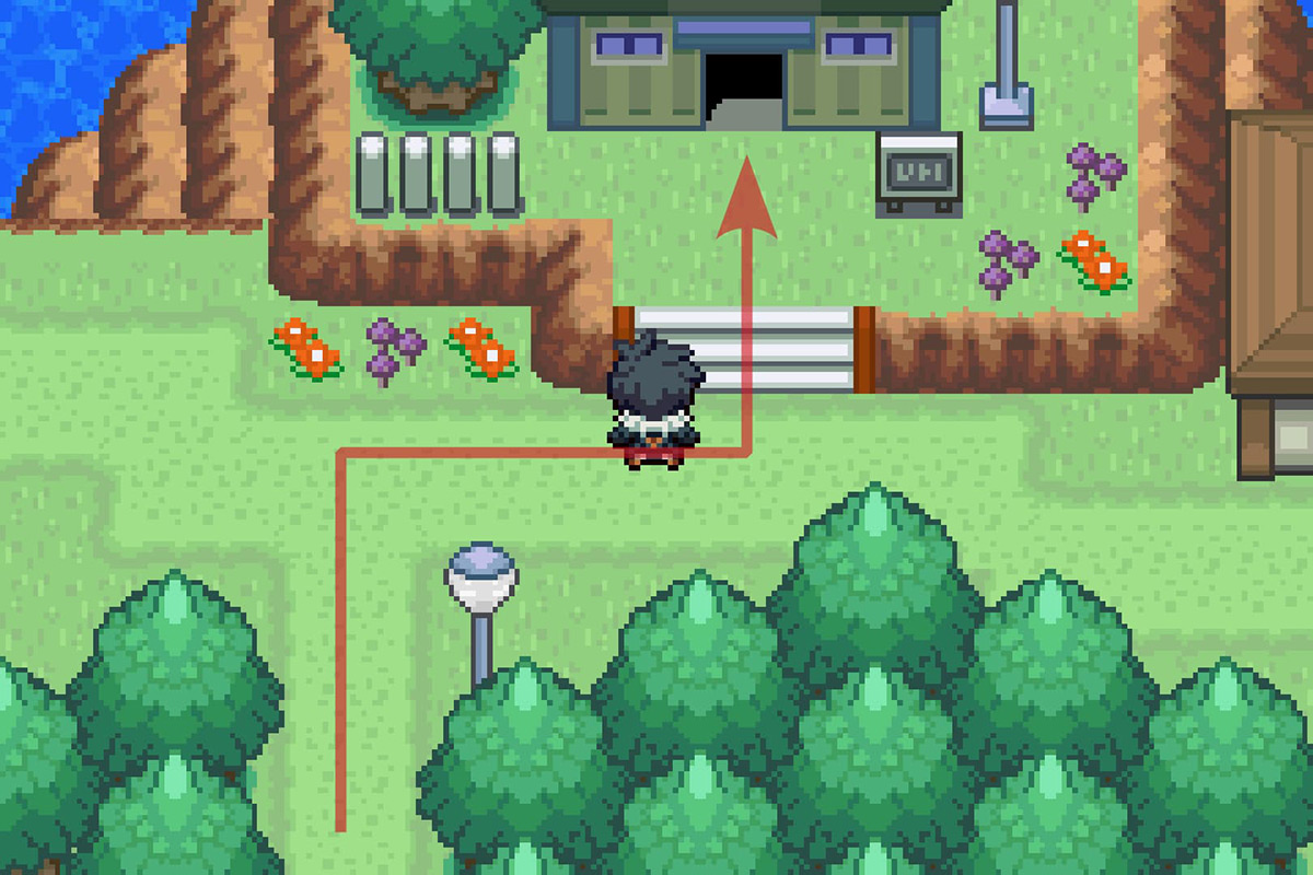 Entering the Vivill Warehouse. / Pokémon Unbound