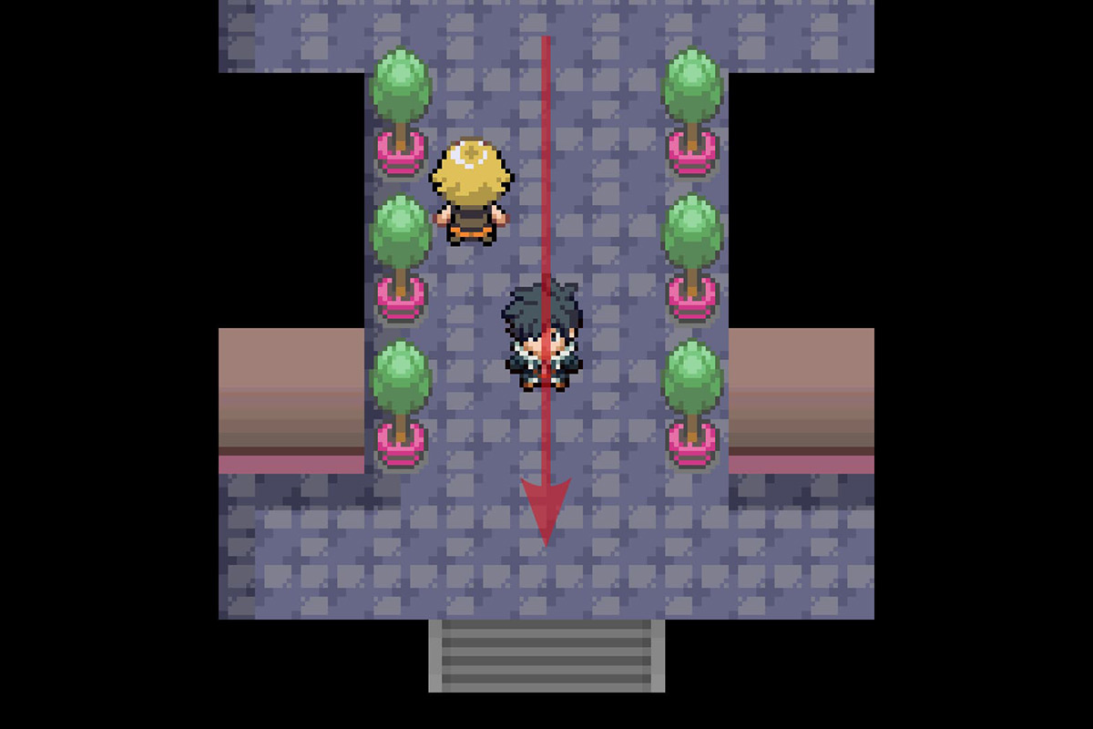Exiting the connector. / Pokémon Unbound