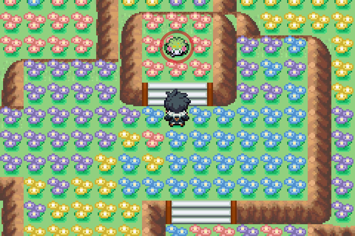 Finding Shaymin at the end of the path. / Pokémon Unbound