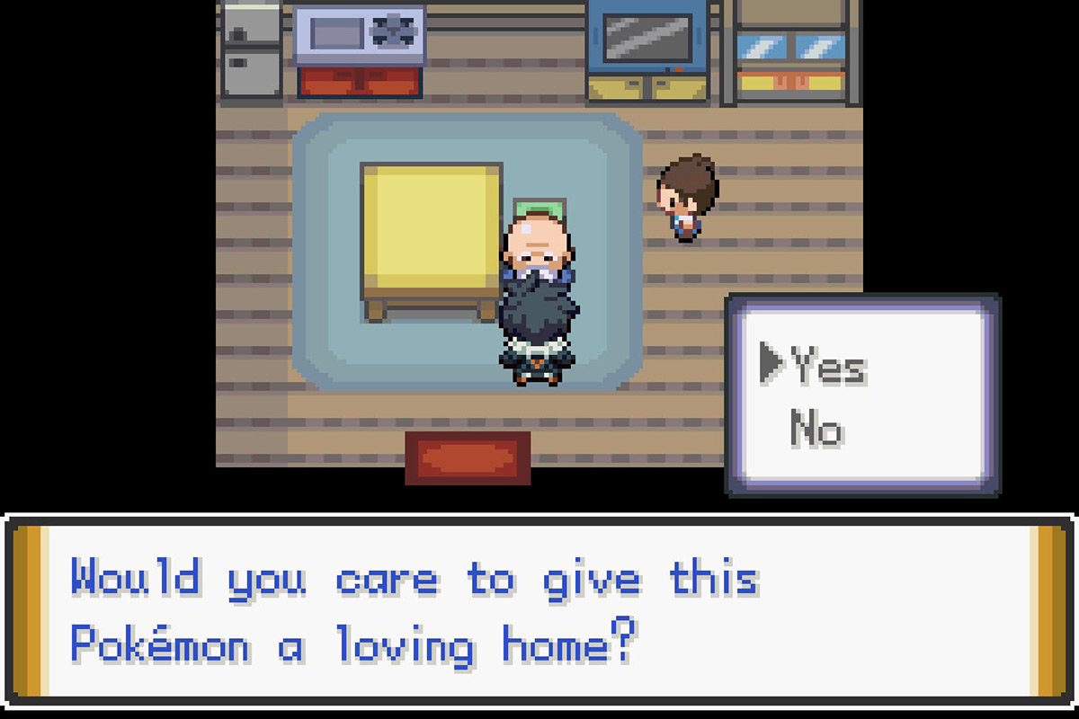 Saying yes to the old man NPC. / Pokémon Unbound