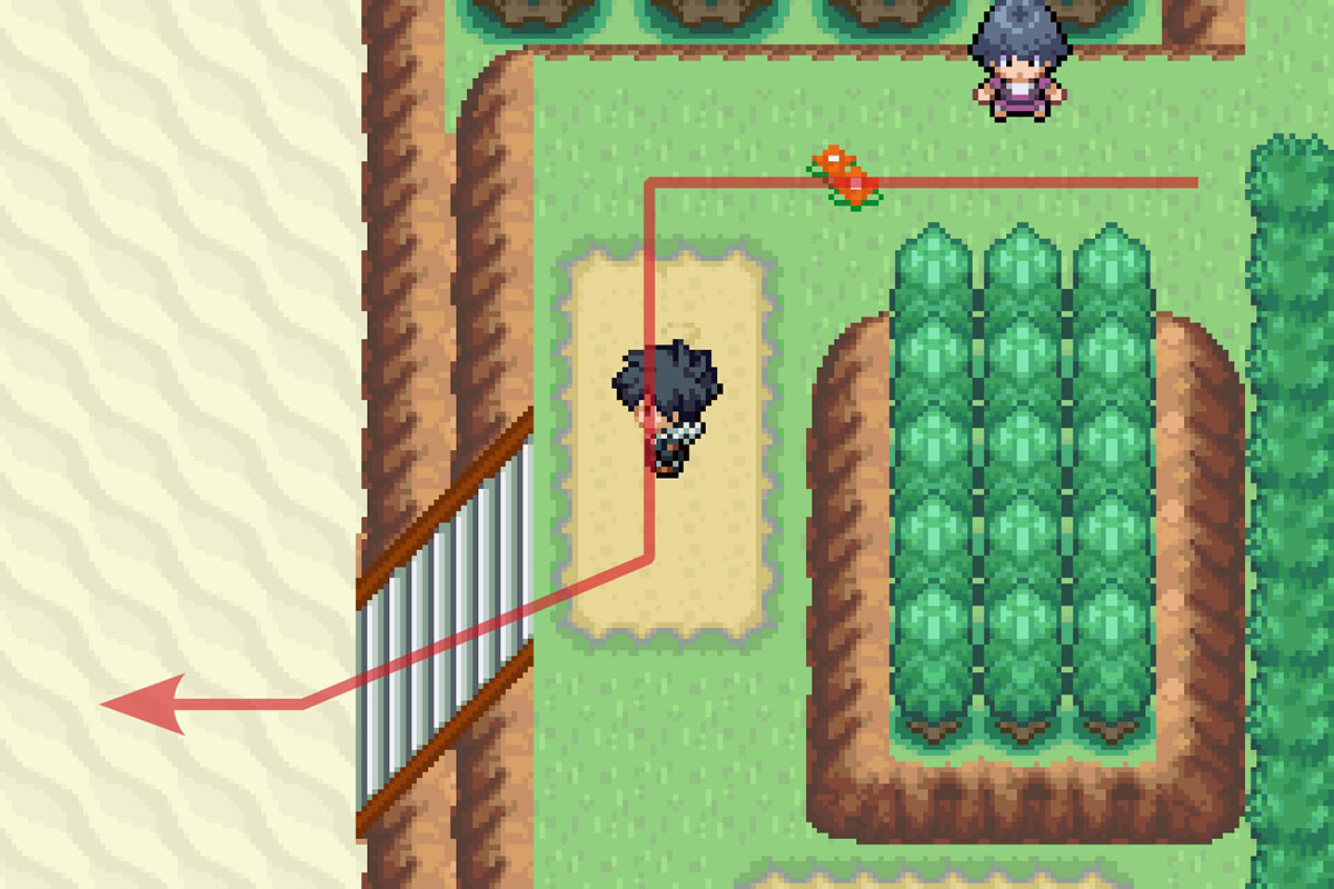 Going down to the beach. / Pokémon Unbound