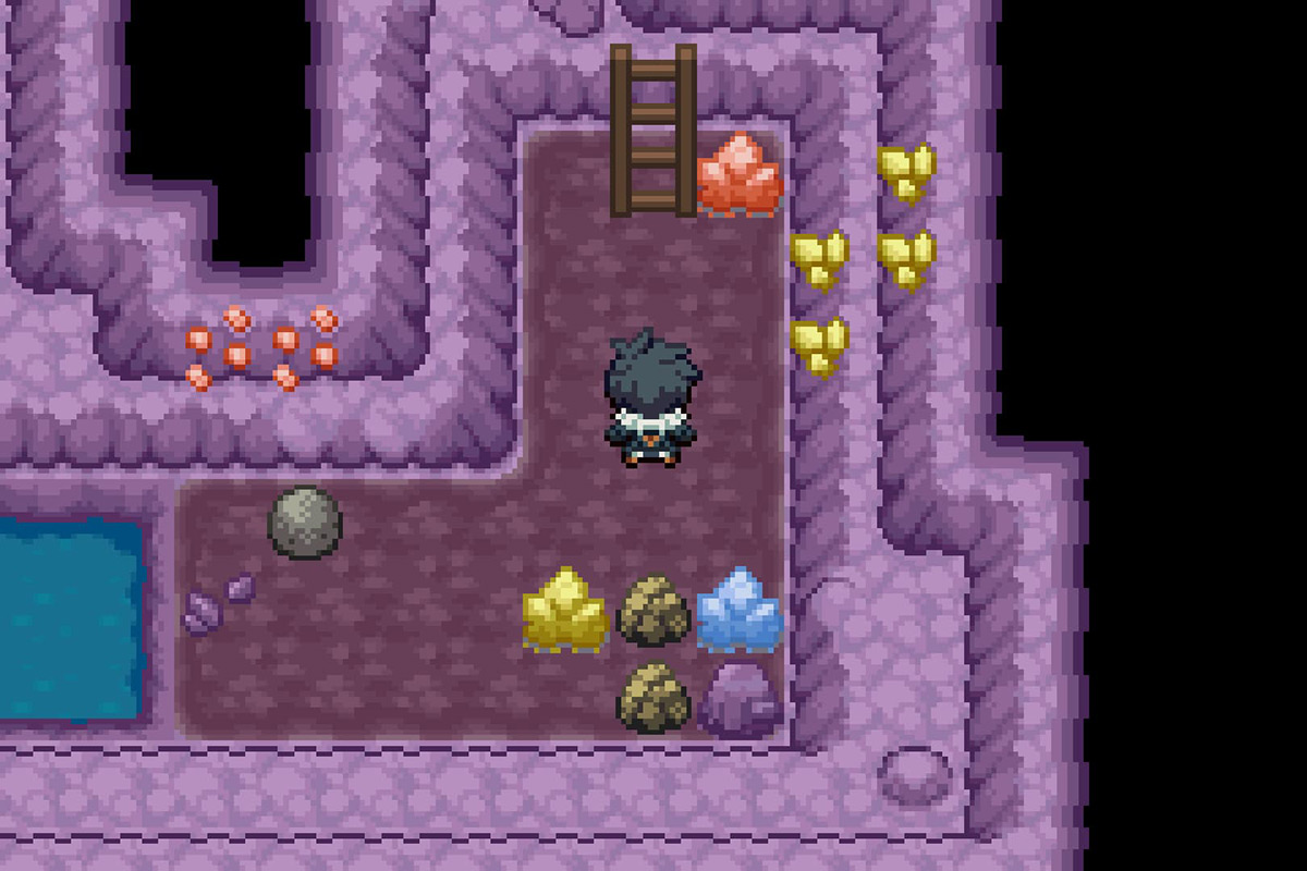 Climbing the ladder at the end of the path. / Pokémon Unbound