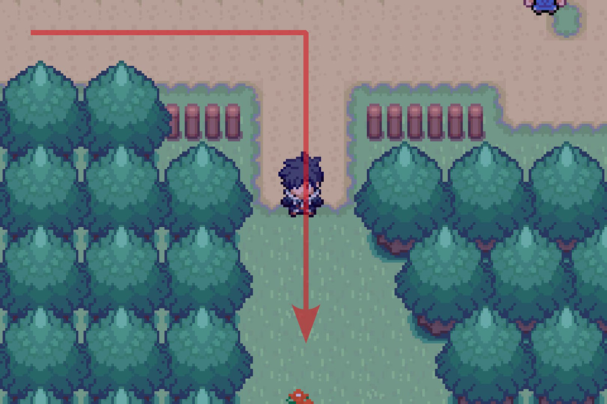 Going south after entering Magnolia Fields. / Pokémon Unbound