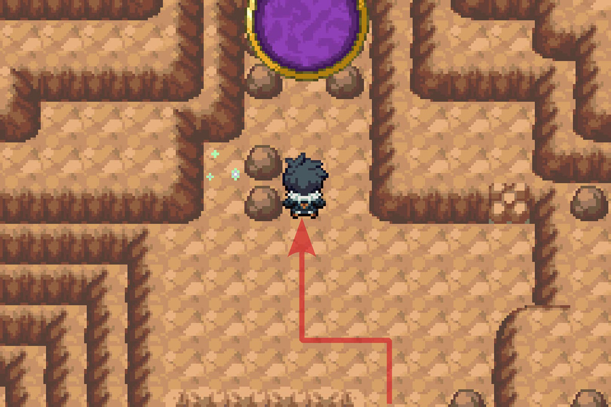 The portal with Buzzwole. / Pokémon Unbound