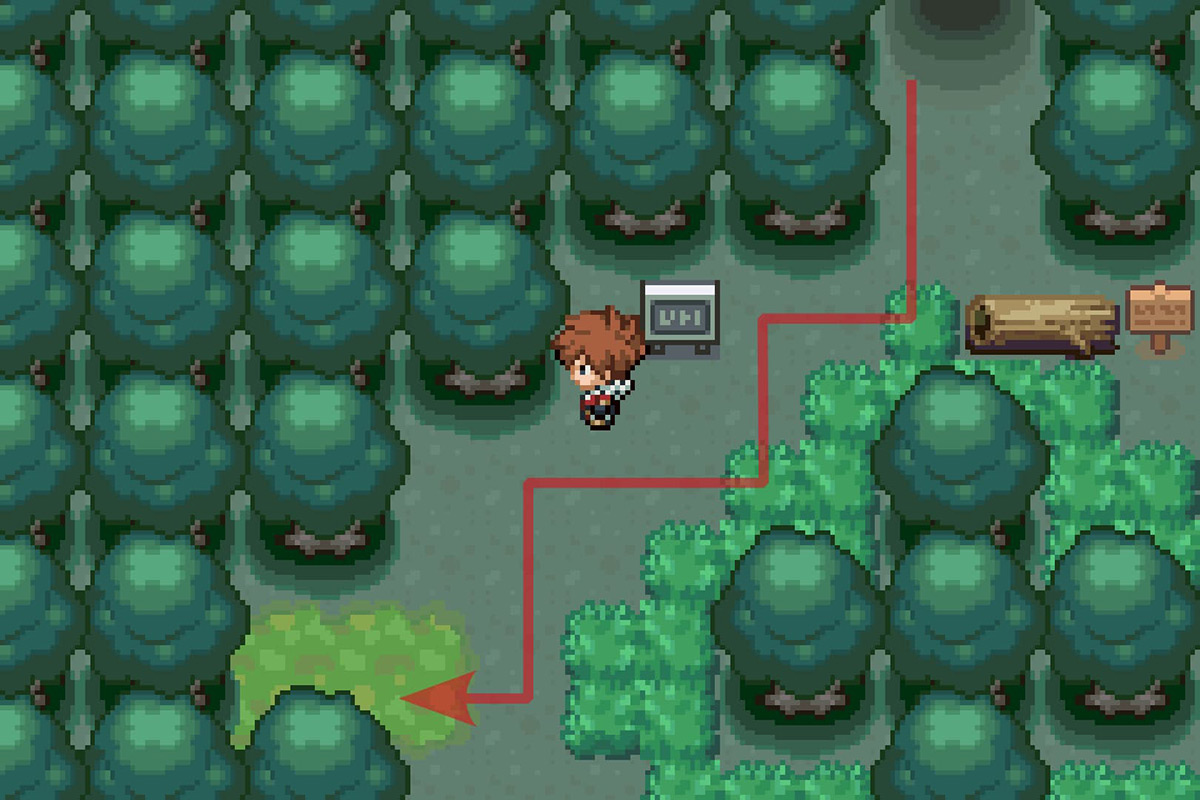 Going west after entering the forest. / Pokémon Unbound