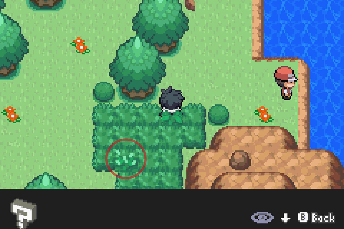 The rustling grass signifying the DexNav Pokemon. / Pokémon Unbound