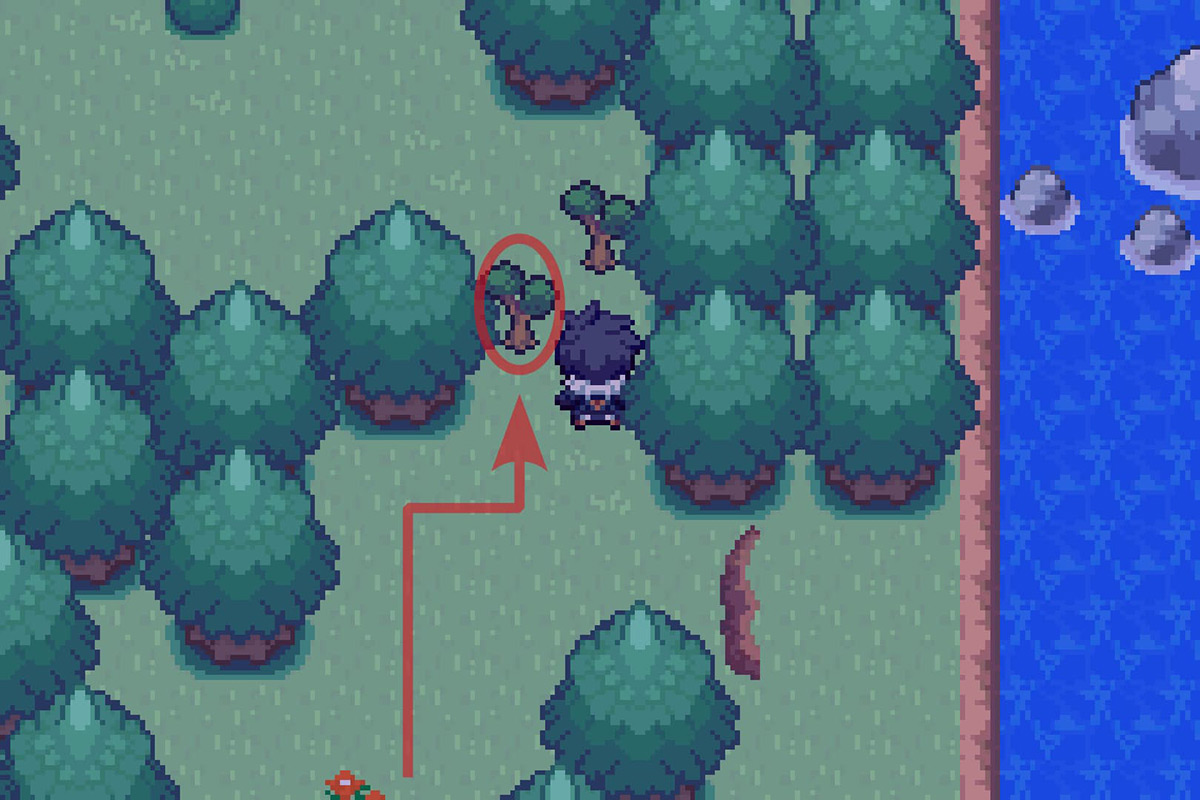 Going behind the cuttable trees. / Pokémon Unbound
