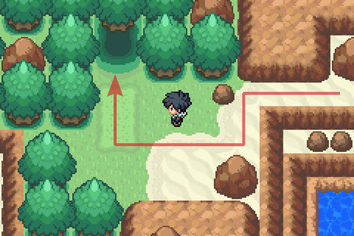 Going through the opening at the end of the path. / Pokémon Unbound