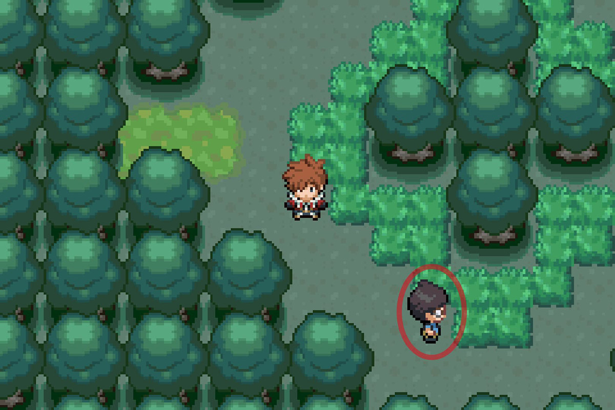 Zoroark disguised as a bug maniac. / Pokémon Unbound