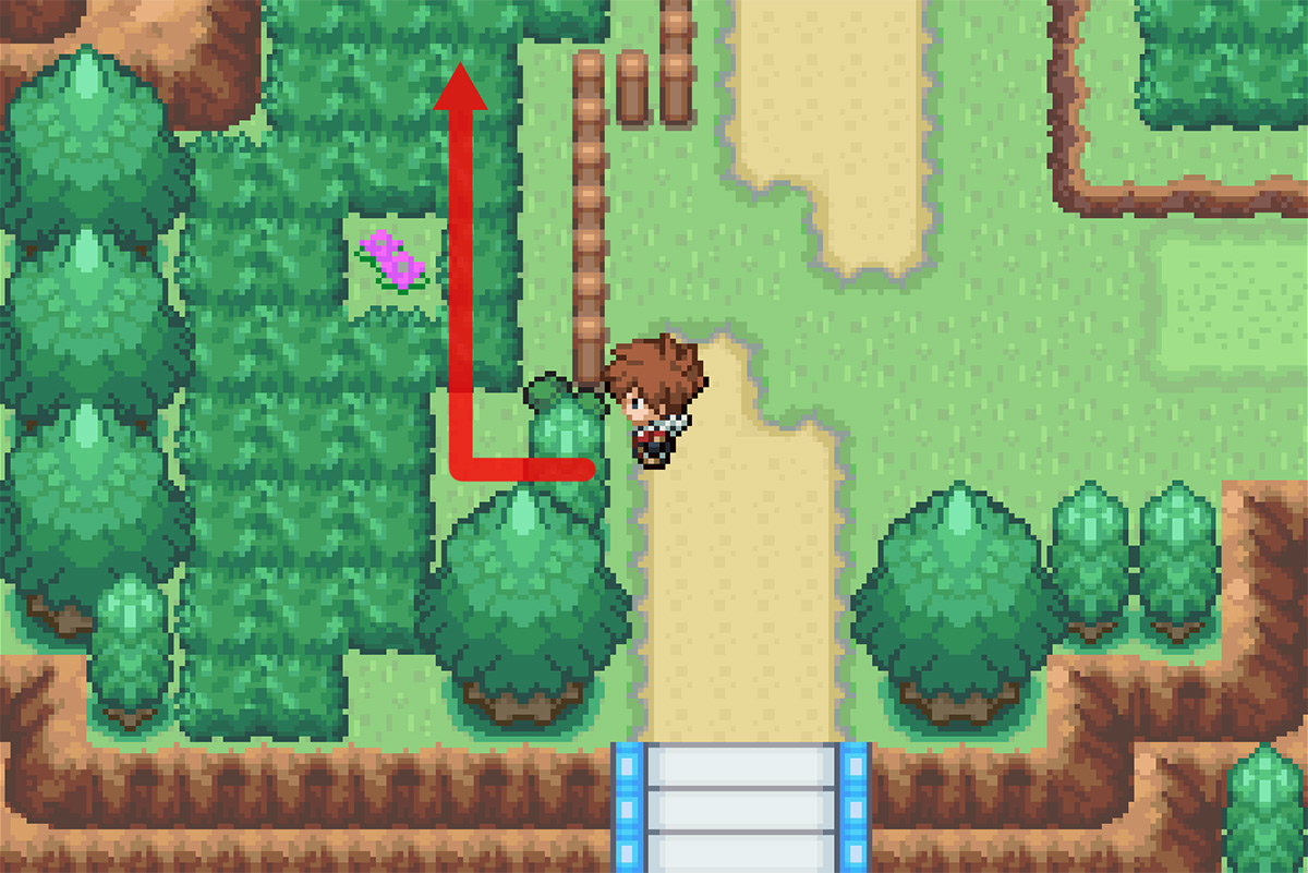Path to the PokeBall / Pokémon Unbound