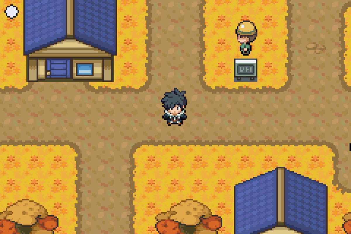 The Dowsing Machine enabled. / Pokémon Unbound