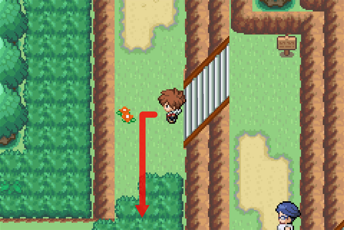 Path to the small set of stairs / Pokémon Unbound