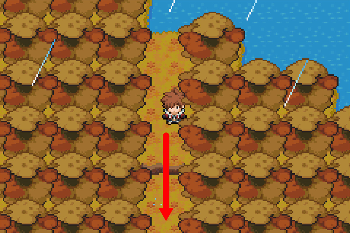 Path to the divergence / Pokémon Unbound