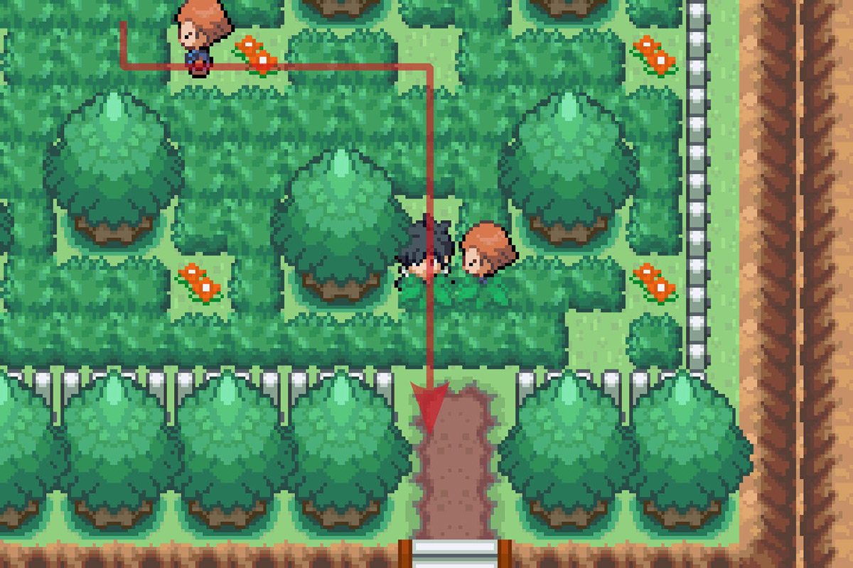 Continuing south past the garden area. / Pokémon Unbound
