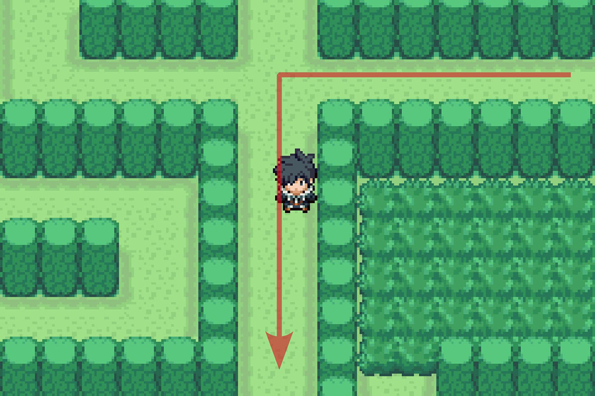 Following the path south when the path splits into four. / Pokémon Unbound