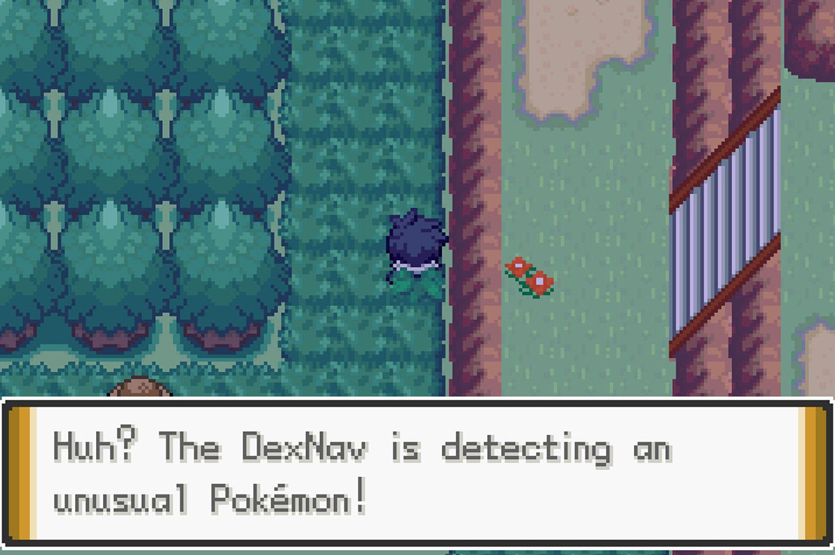 Getting a special encounter. / Pokémon Unbound