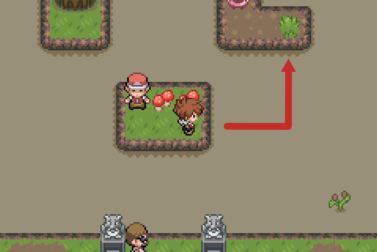 Path to next land / Pokémon Unbound