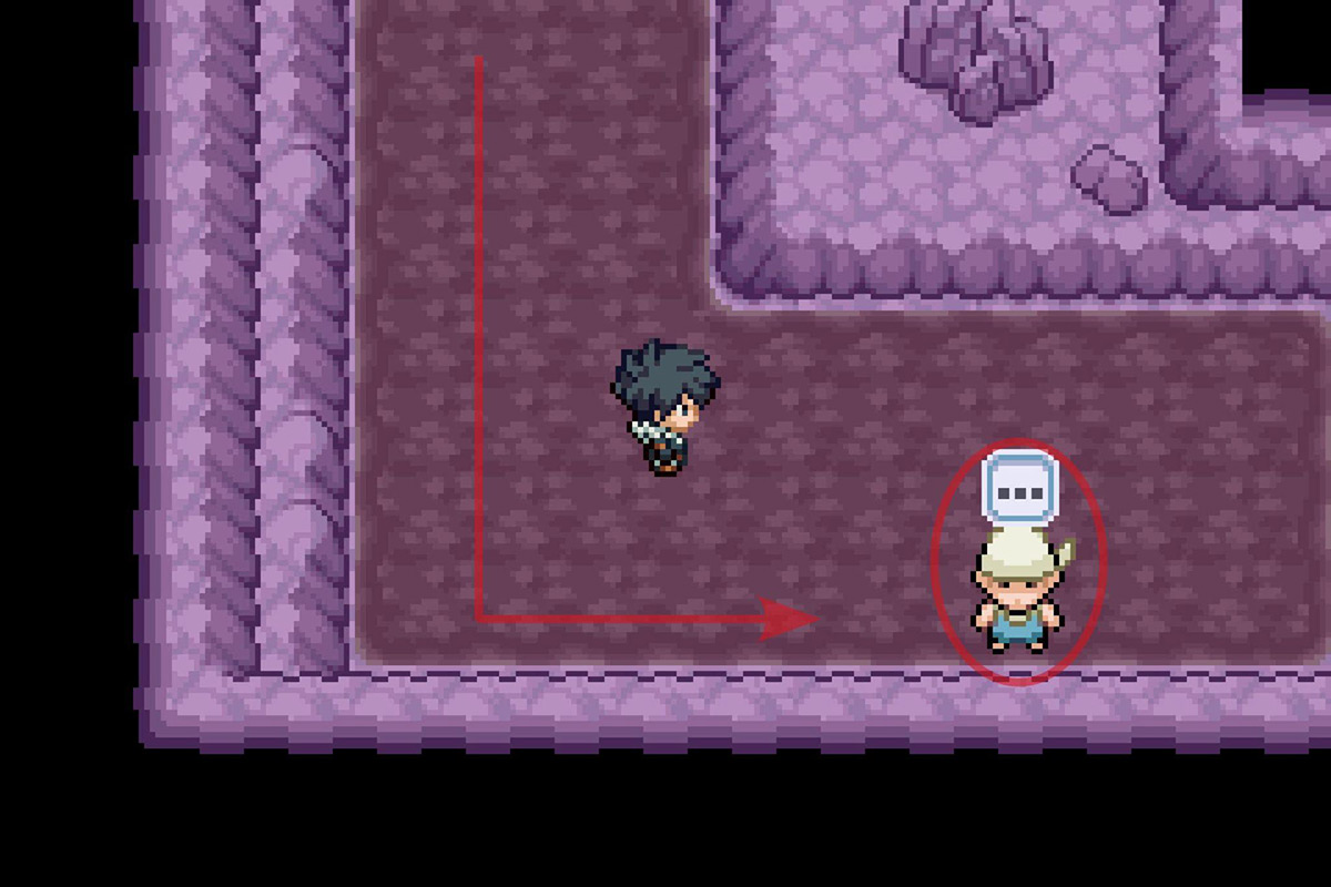 Approaching the NPC at the end of the path. / Pokémon Unbound