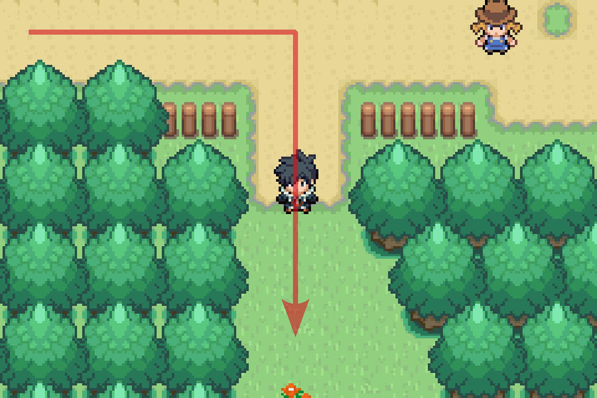 Following the path south in Magnolia FIelds. / Pokémon Unbound