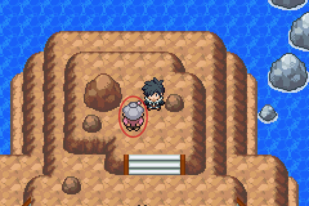 Speaking with the old lady. / Pokémon Unbound